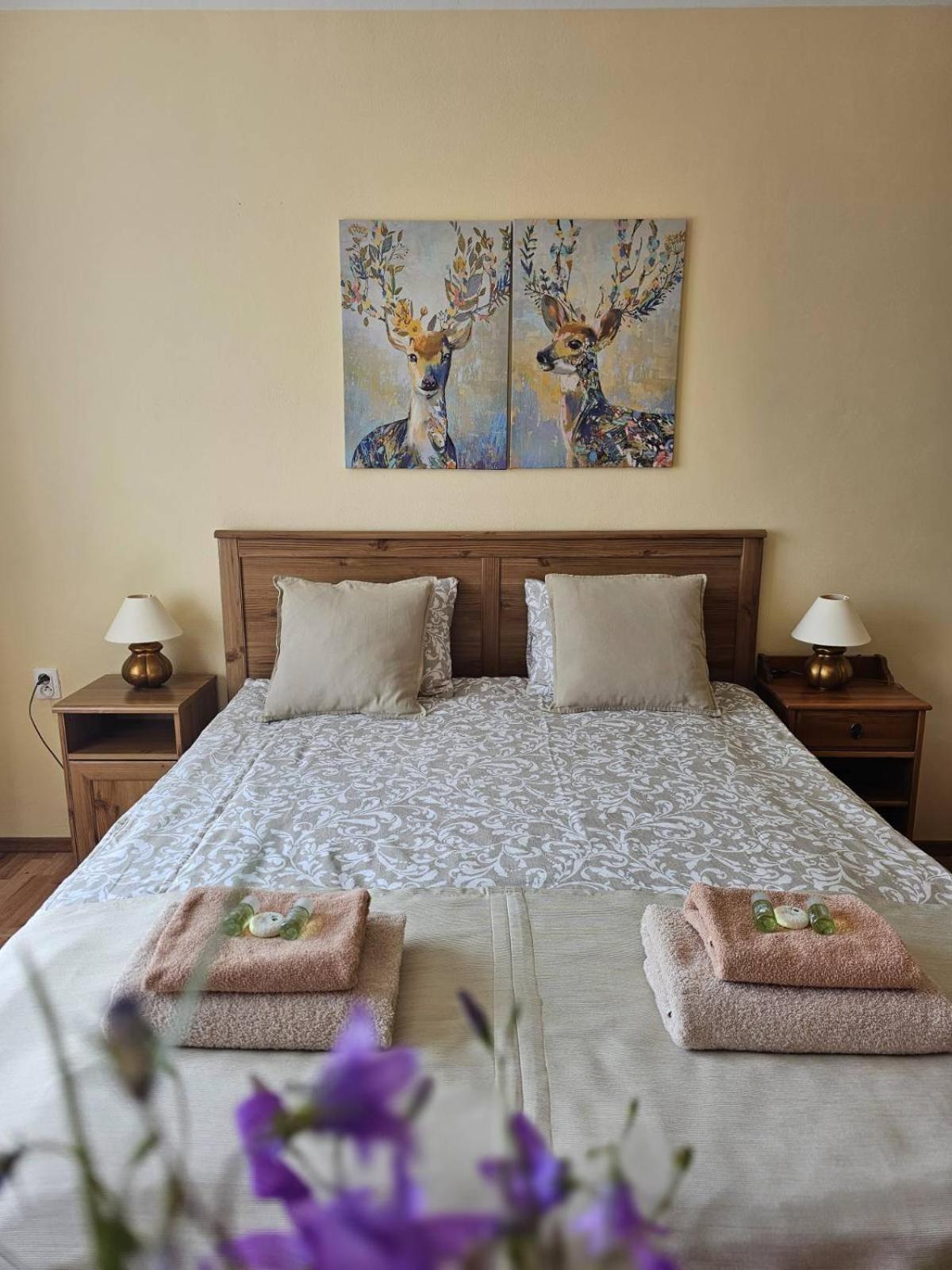 Villa Paradajs - Ubytovanie Pri Jazere Banská Štiavnica エクステリア 写真