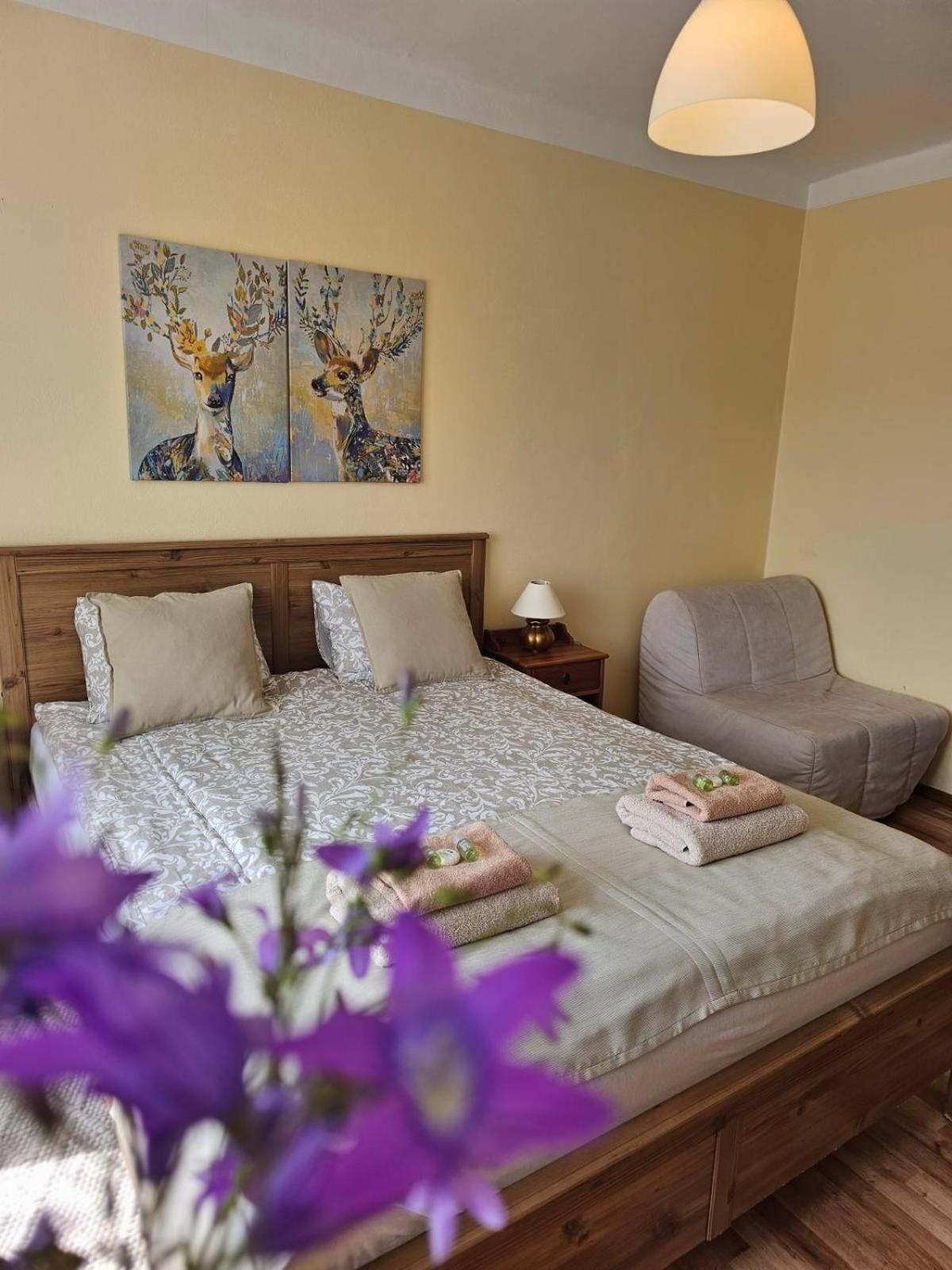 Villa Paradajs - Ubytovanie Pri Jazere Banská Štiavnica エクステリア 写真
